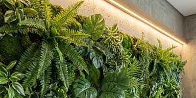 Mur végétal artificiel - décoration intérieure sans entretien